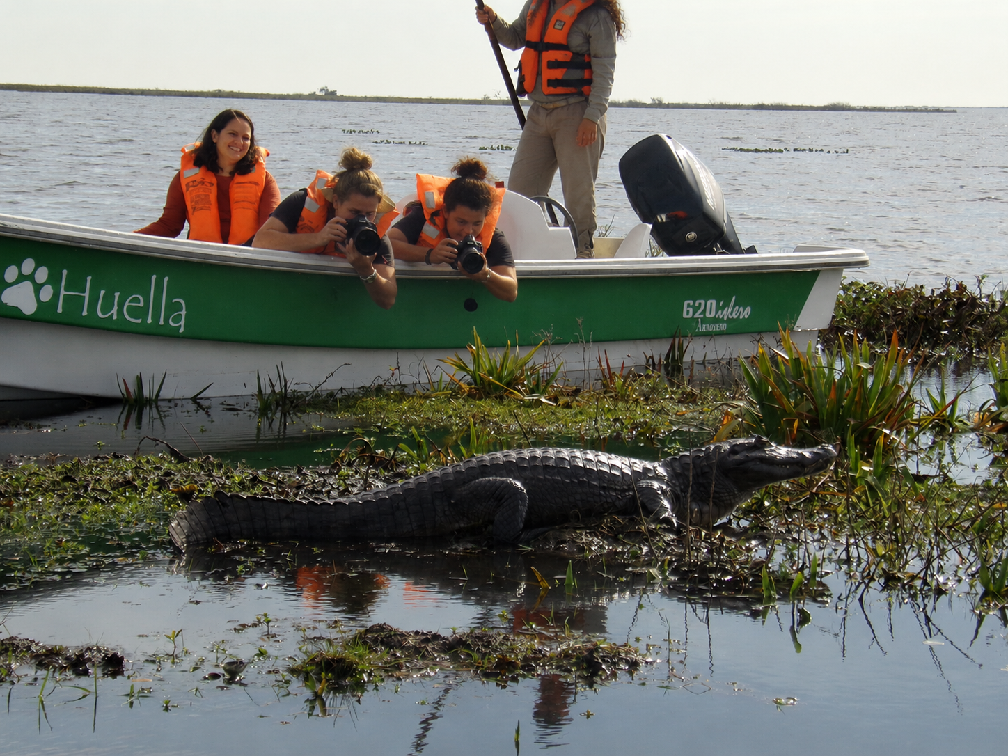 Avistaje de fauna en lancha en los Esteros del Iberá